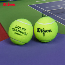 上海大师赛专用网球3只一罐