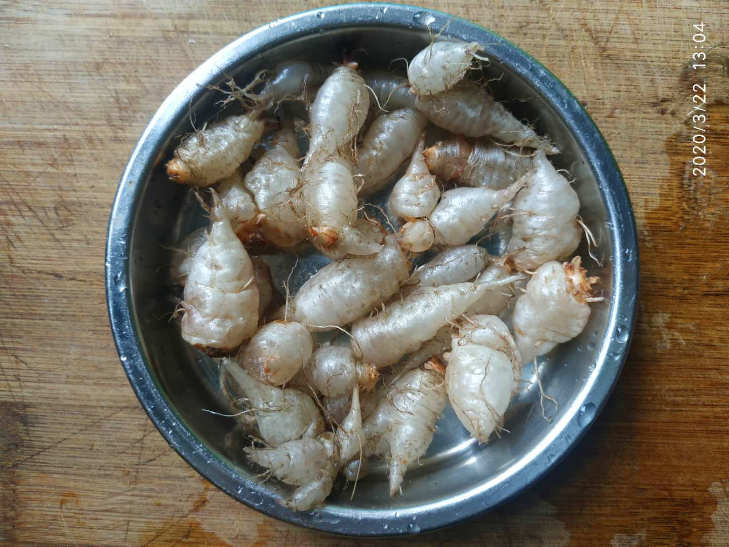 水晶萝卜果新鲜幸运草野生三叶草新鲜种子红花小萝卜