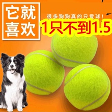 Теннис Тренировочный мяч Детский теннис Собака Устойчивость к укусам