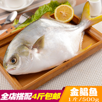 鲜金鲳鱼深海金鲳鱼新-鱼4斤全场包邮海鱼 新