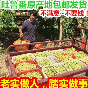 1000g新疆特产吐鲁番特级天然免洗大葡萄干500g*2 零食干果 包邮葡萄干