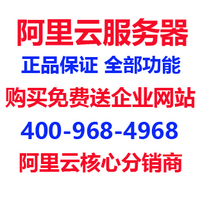 国内vps服务器月付-付 独立IP阿里云服务器租用