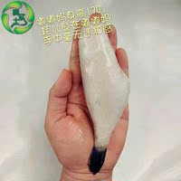 泓燕 成都海鲜批发 爬爬虾 新鲜冷冻 深海美味 