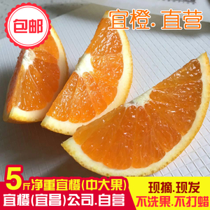 宜橙夏橙秭归脐橙子当季现摘现发酸甜榨汁绿鲜橙包邮新鲜水果5斤脐橙水果