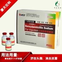 青霉素粉 烂尾烂鳃烂鳍 鳞片发黑 锦鲤金鱼热带