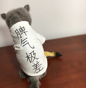 猫衣服夏装 薄款亲子装宠物猫咪服装纯棉汉字脾气极差幼犬狗衣服宠物服装