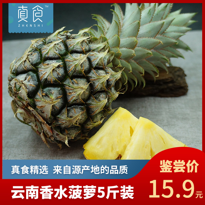 【真食精选】云南香水菠萝纯正香味净重5斤单果400g起包邮