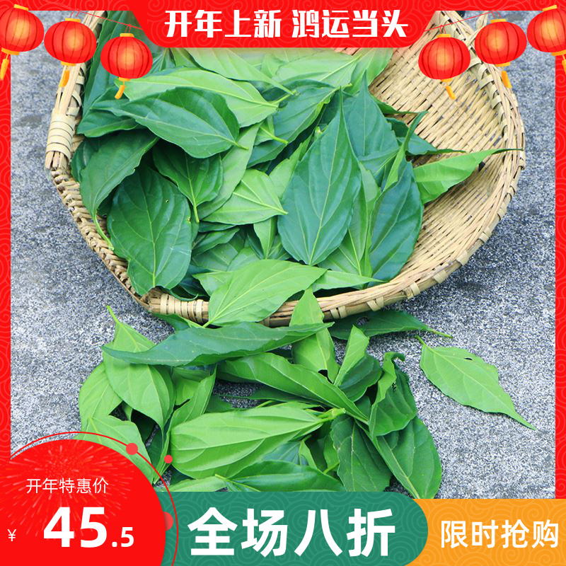 新鲜疯抢神仙豆腐臭黄荆现摘树叶苗观音柴绿豆腐叶子凉粉腐婢斑鸠
