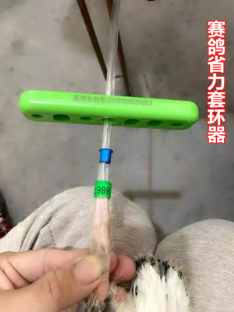 赛鸽信鸽用品用具足环特比环鸽子套环省力气鸽子套环器幼鸽上环器