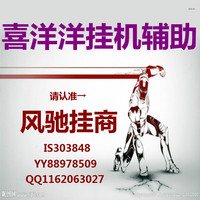 追风辅助 追风挂机 传奇 百区辅助 1.76 白金典