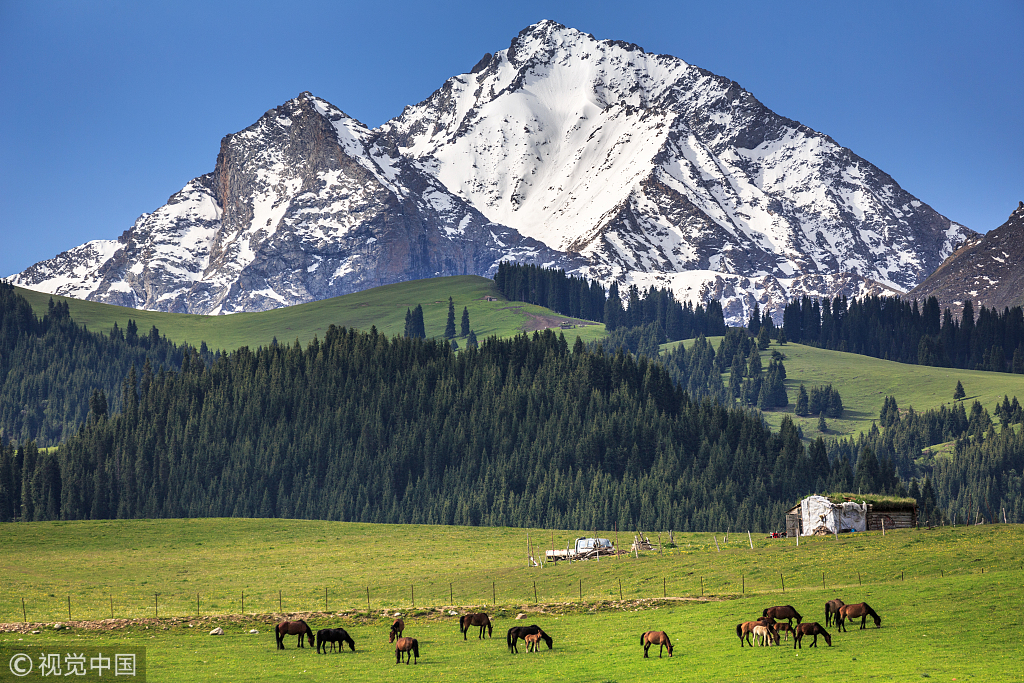 高清壁纸图片香港|高清壁纸图片下载|高清壁纸