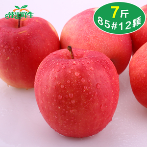 韩国卡通恐龙吃苹果7pl选什么牌子好 同款好推