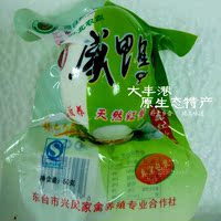 秘制咸鸭蛋-正宗微山湖烤鸭蛋农家特产秘制五