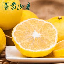 【象山青桔子】_象山青桔子推荐_品牌_价格_