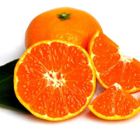 桔子正宗南丰蜜橘蜜桔砂糖橘蜜广涌泉新鲜水果