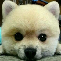 微信游戏制作-会头像 YY头像 中国风古风微信Q