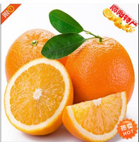 现摘正宗赣南冰糖甜脐橙 孕妇宝宝榨汁新鲜水