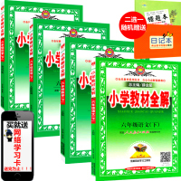 包邮薛金星2016春小学教材全解六年级下册 语