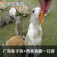 出租一日-英文作业题库答案博购软件商务版会