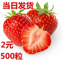 奶油白草莓种子 非转基因 阳台盆栽蔬菜蔬果种